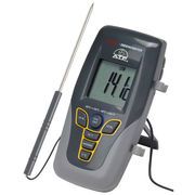 Min/Max Memory Alarm Thermometer